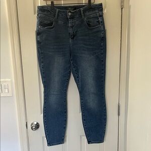 Judy Blue Skinny Jean